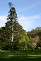 Mansion grounds Ireland 3